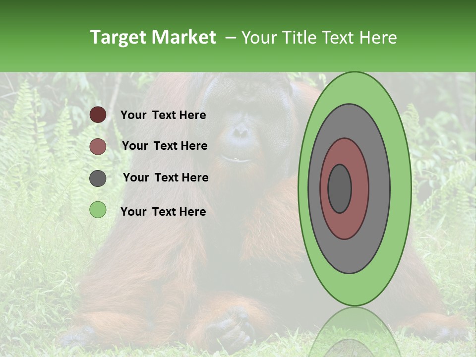 Orangutan PowerPoint Template