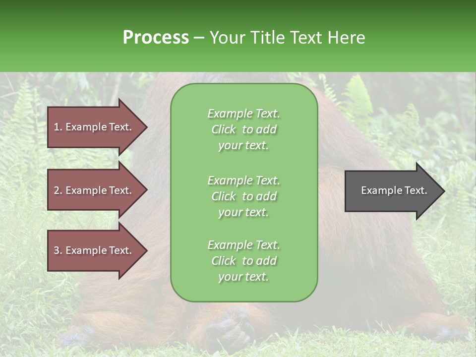 Orangutan PowerPoint Template
