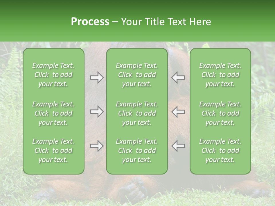 Orangutan PowerPoint Template
