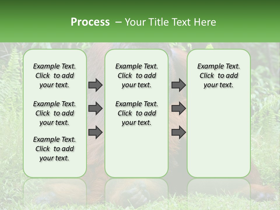 Orangutan PowerPoint Template