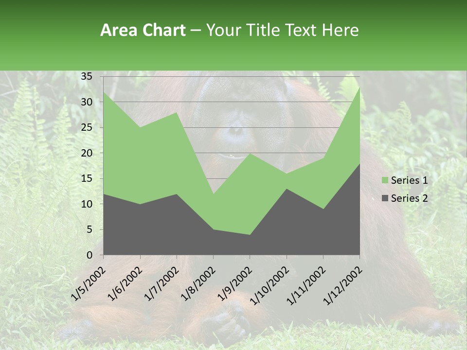 Orangutan PowerPoint Template