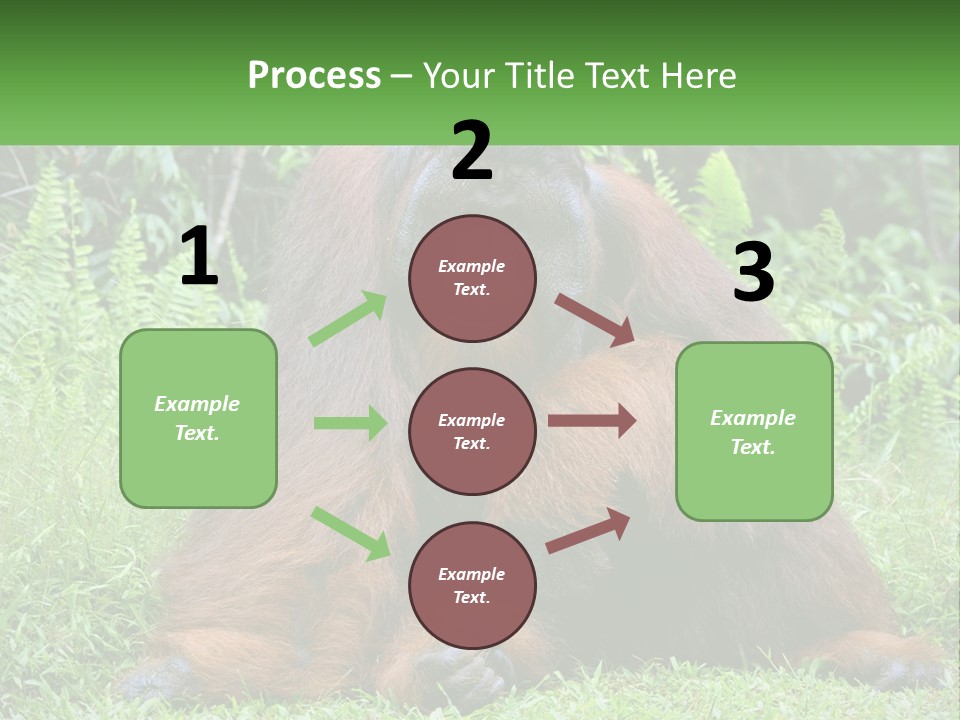 Orangutan PowerPoint Template