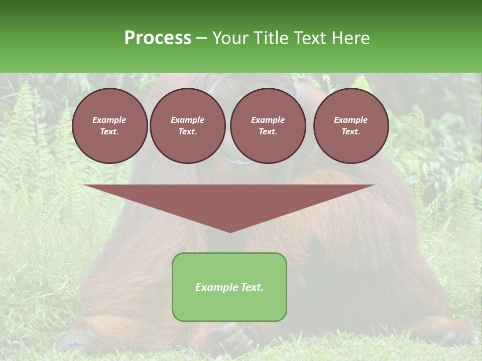 Orangutan PowerPoint Template