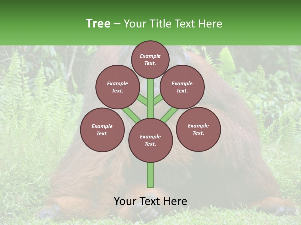 Orangutan PowerPoint Template