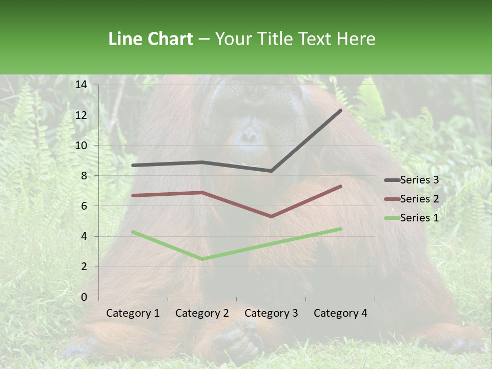 Orangutan PowerPoint Template