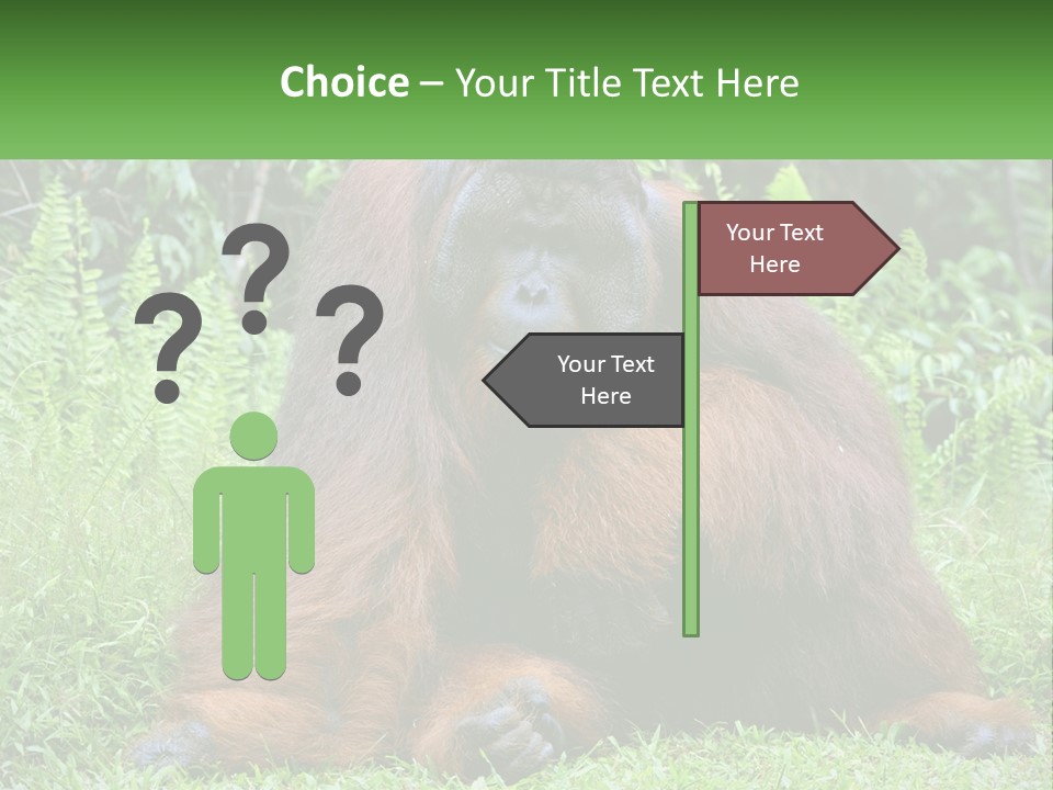 Orangutan PowerPoint Template