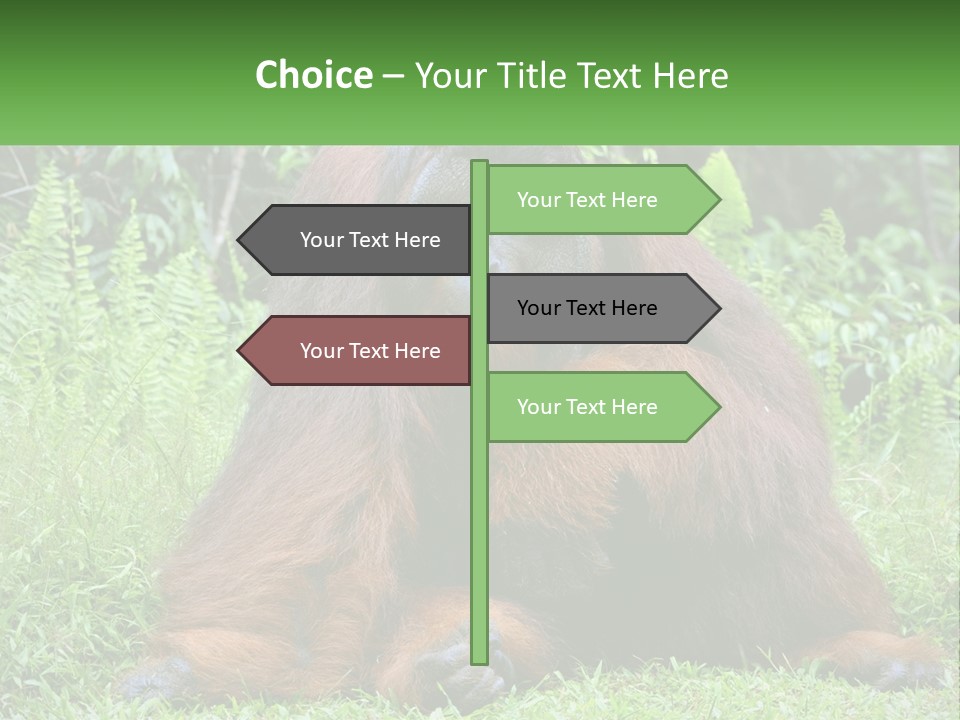 Orangutan PowerPoint Template