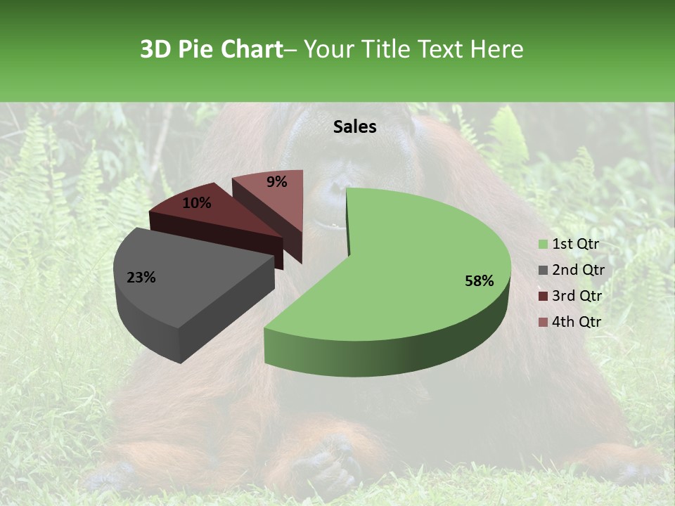 Orangutan PowerPoint Template