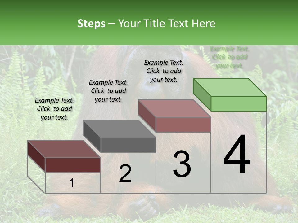 Orangutan PowerPoint Template