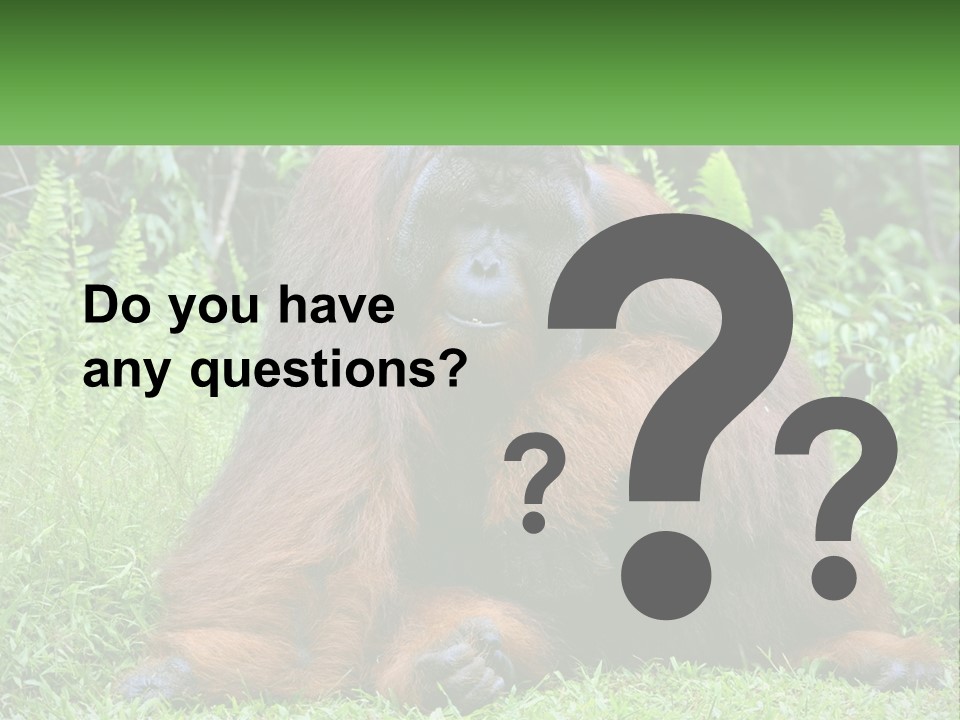 Orangutan PowerPoint Template