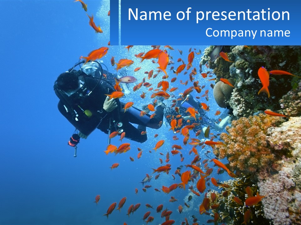 Scuba Diver And Fish PowerPoint Template