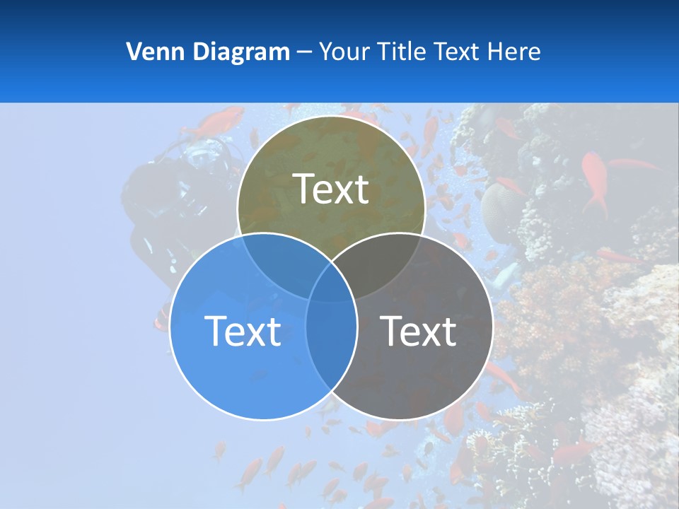 Scuba Diver And Fish PowerPoint Template