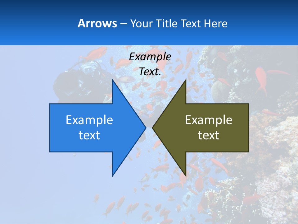 Scuba Diver And Fish PowerPoint Template