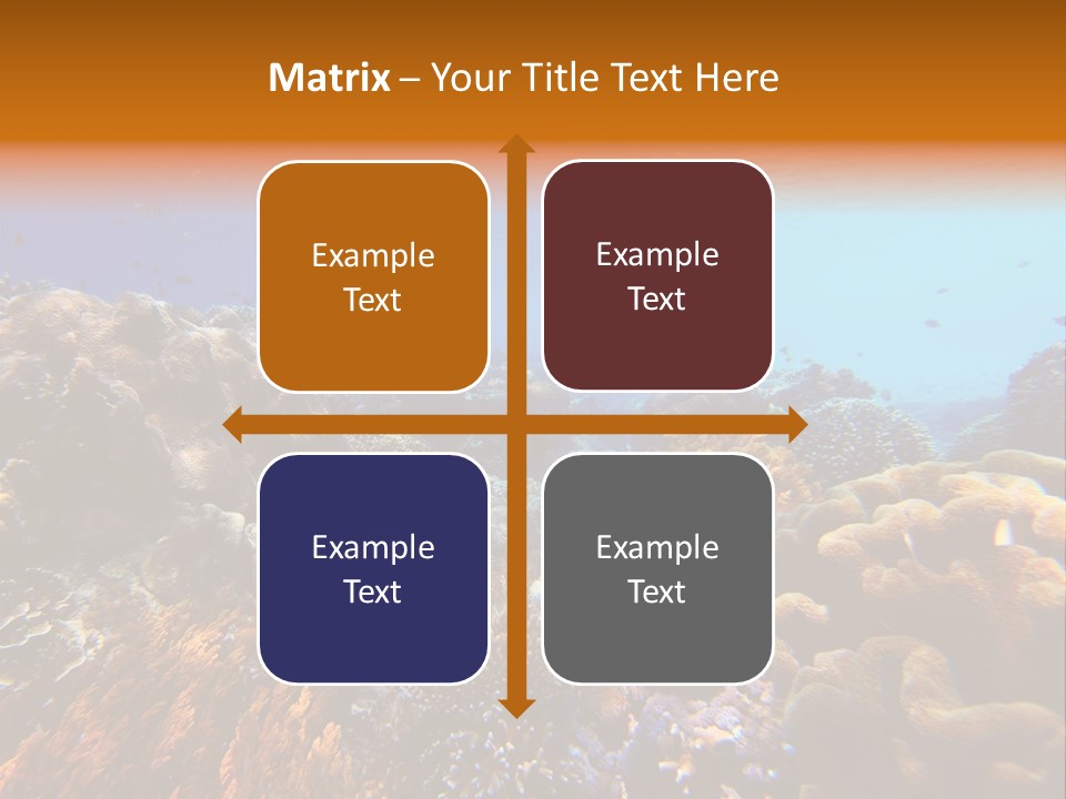 Coral Reef PowerPoint Template