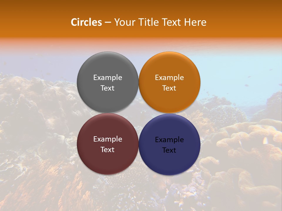 Coral Reef PowerPoint Template