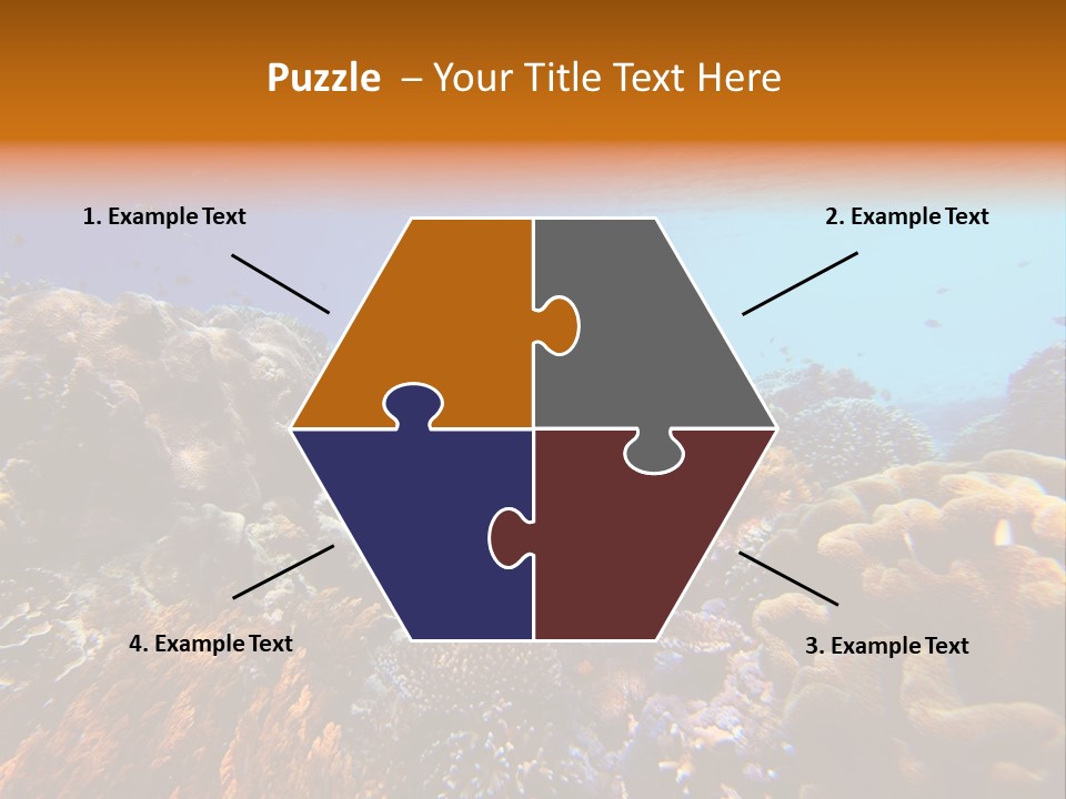 Coral Reef PowerPoint Template