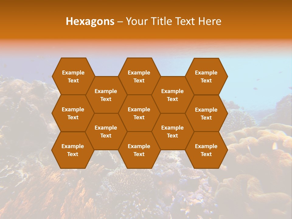 Coral Reef PowerPoint Template