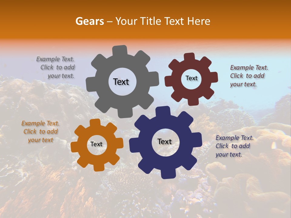 Coral Reef PowerPoint Template