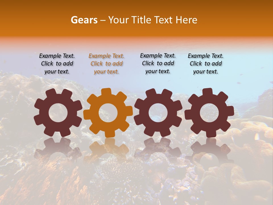 Coral Reef PowerPoint Template