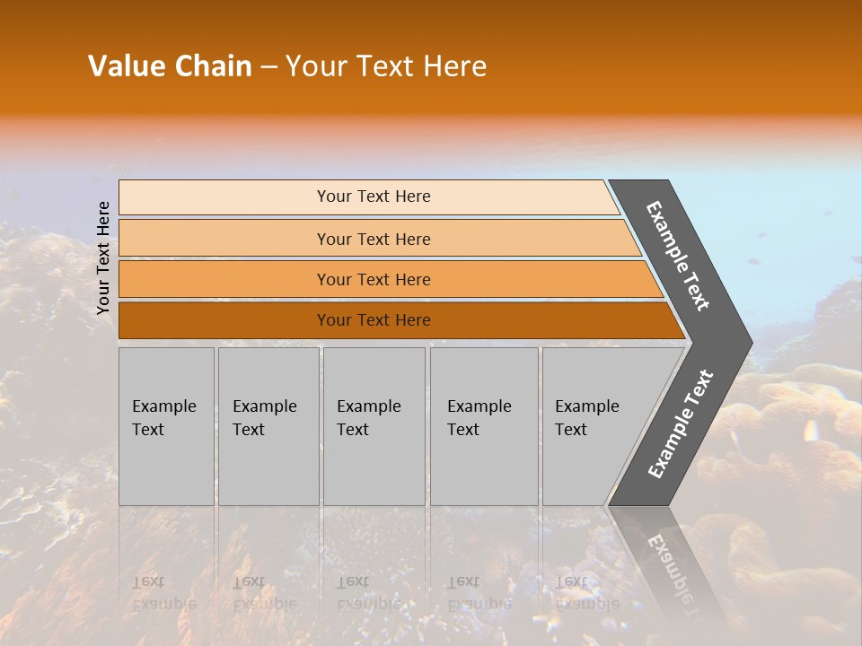 Coral Reef PowerPoint Template