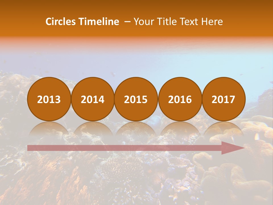 Coral Reef PowerPoint Template