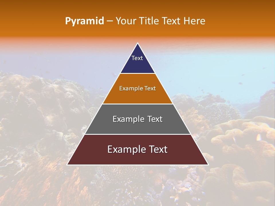 Coral Reef PowerPoint Template