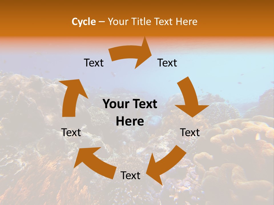 Coral Reef PowerPoint Template