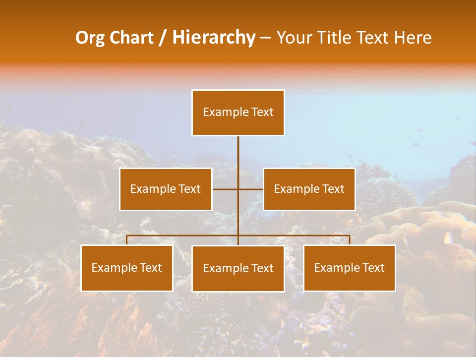 Coral Reef PowerPoint Template