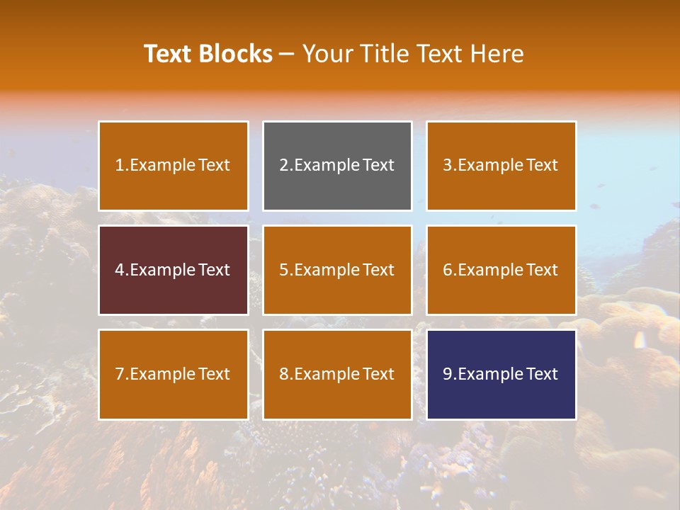 Coral Reef PowerPoint Template