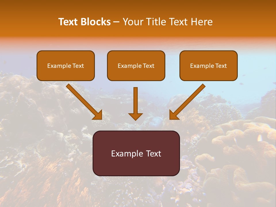 Coral Reef PowerPoint Template