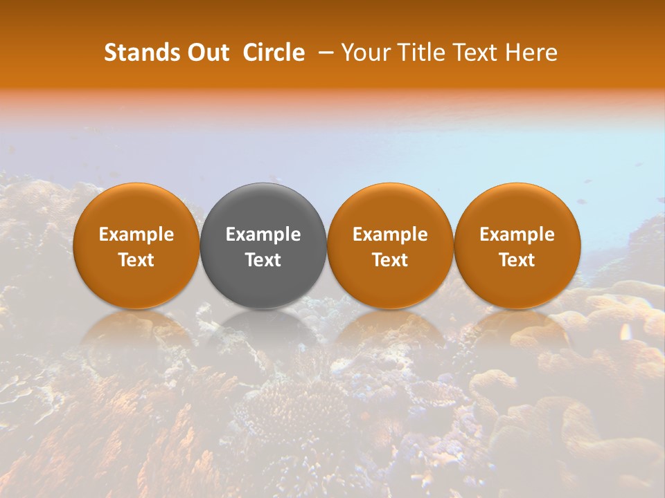 Coral Reef PowerPoint Template