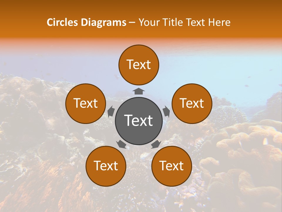 Coral Reef PowerPoint Template