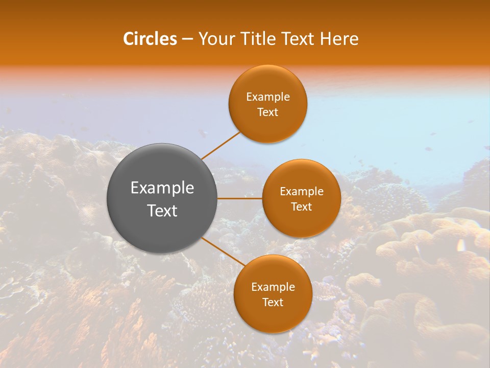 Coral Reef PowerPoint Template