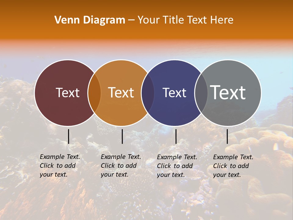 Coral Reef PowerPoint Template