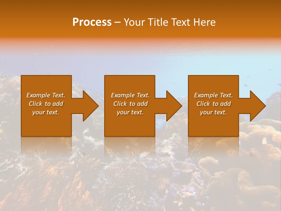 Coral Reef PowerPoint Template
