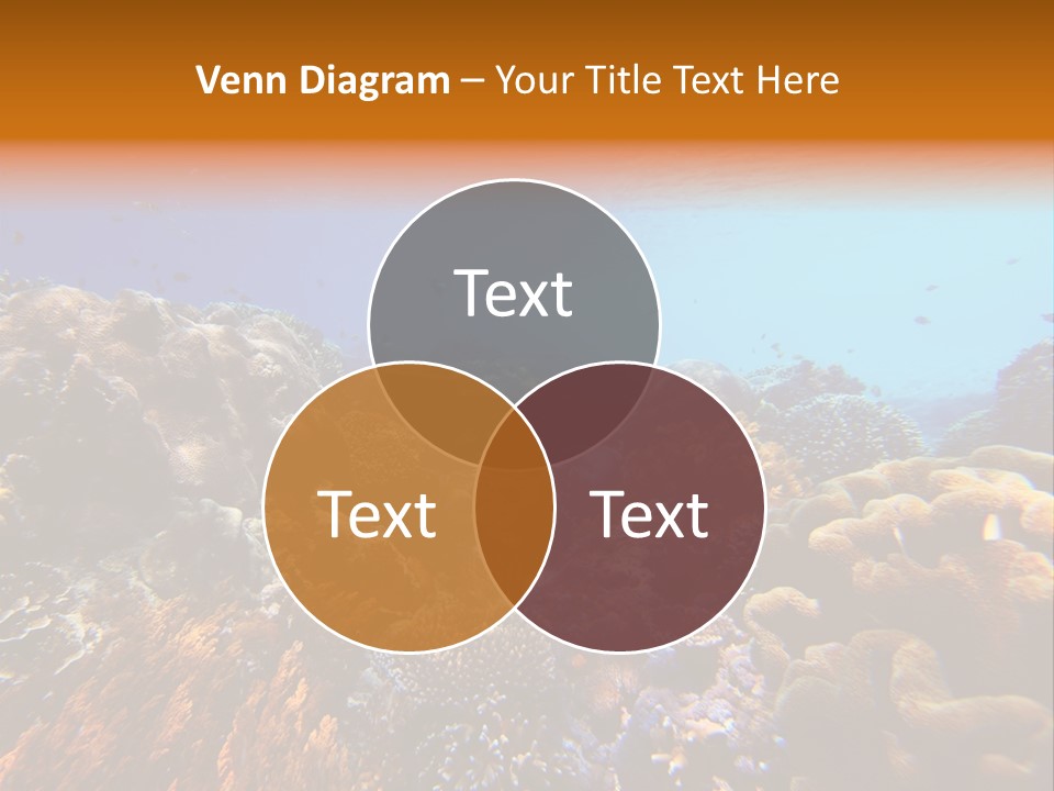 Coral Reef PowerPoint Template