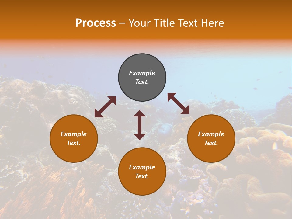 Coral Reef PowerPoint Template