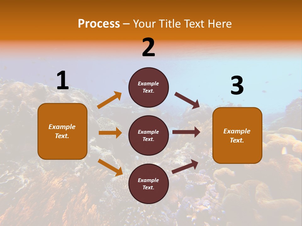 Coral Reef PowerPoint Template