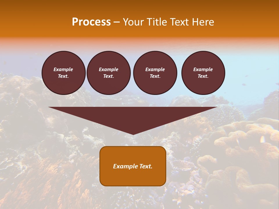 Coral Reef PowerPoint Template