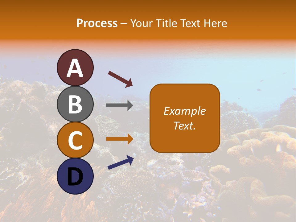 Coral Reef PowerPoint Template
