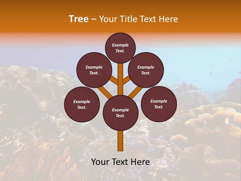 Coral Reef PowerPoint Template