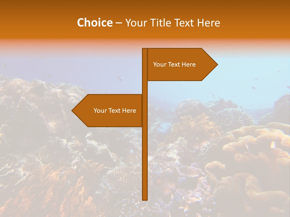 Coral Reef PowerPoint Template
