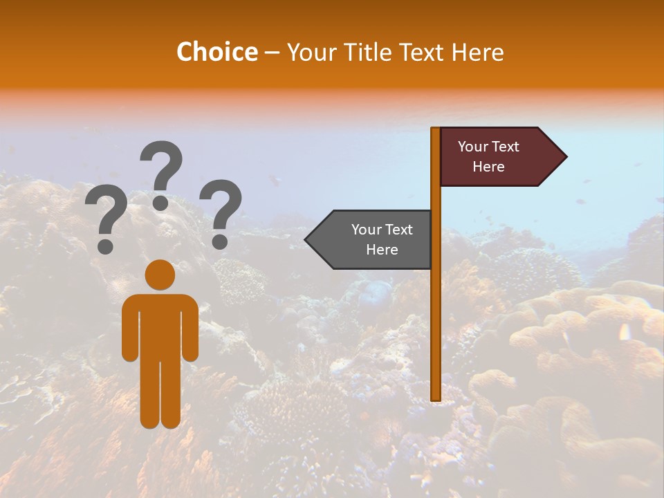 Coral Reef PowerPoint Template