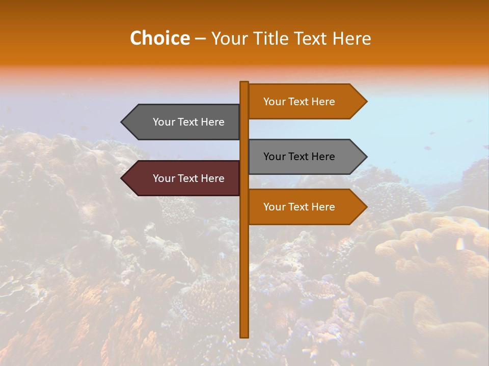 Coral Reef PowerPoint Template