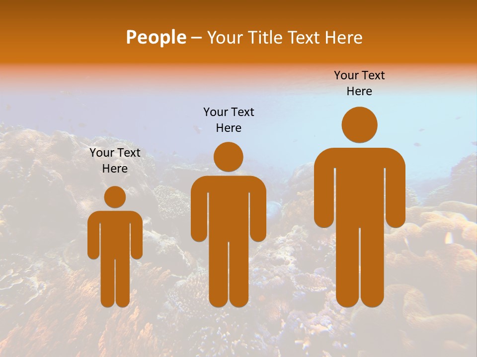 Coral Reef PowerPoint Template