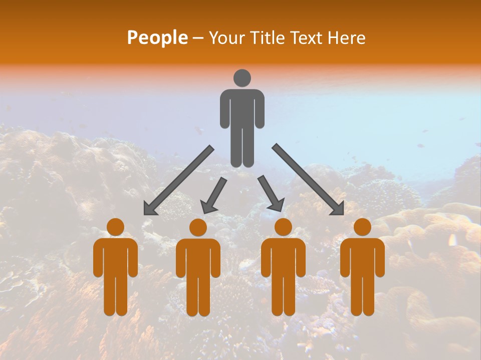 Coral Reef PowerPoint Template