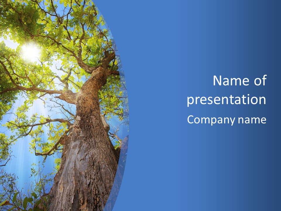 Old Tree PowerPoint Template