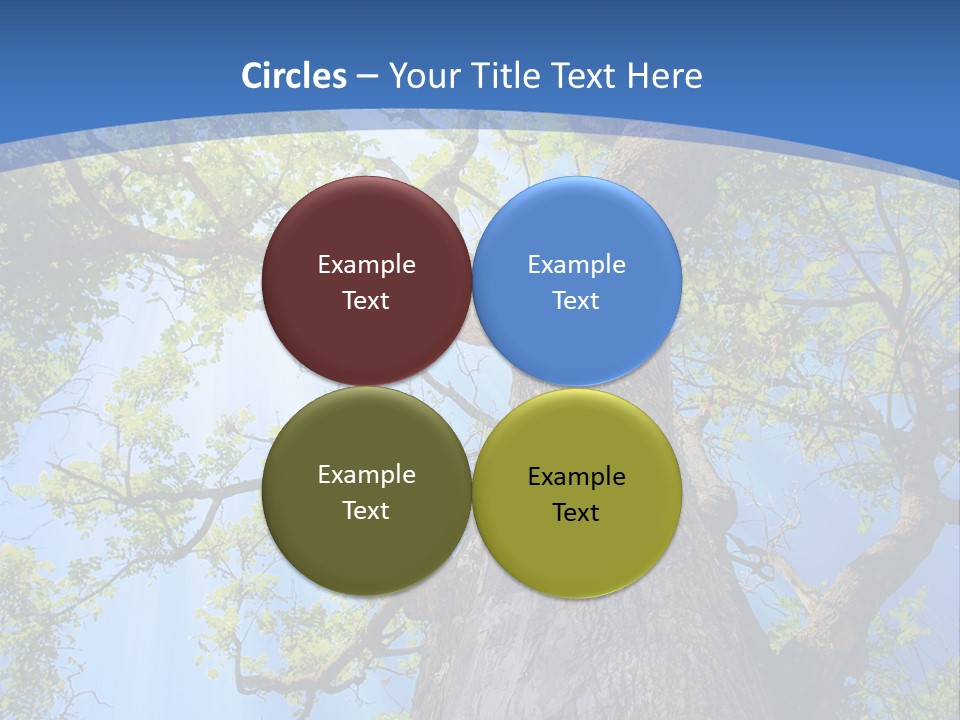 Old Tree PowerPoint Template