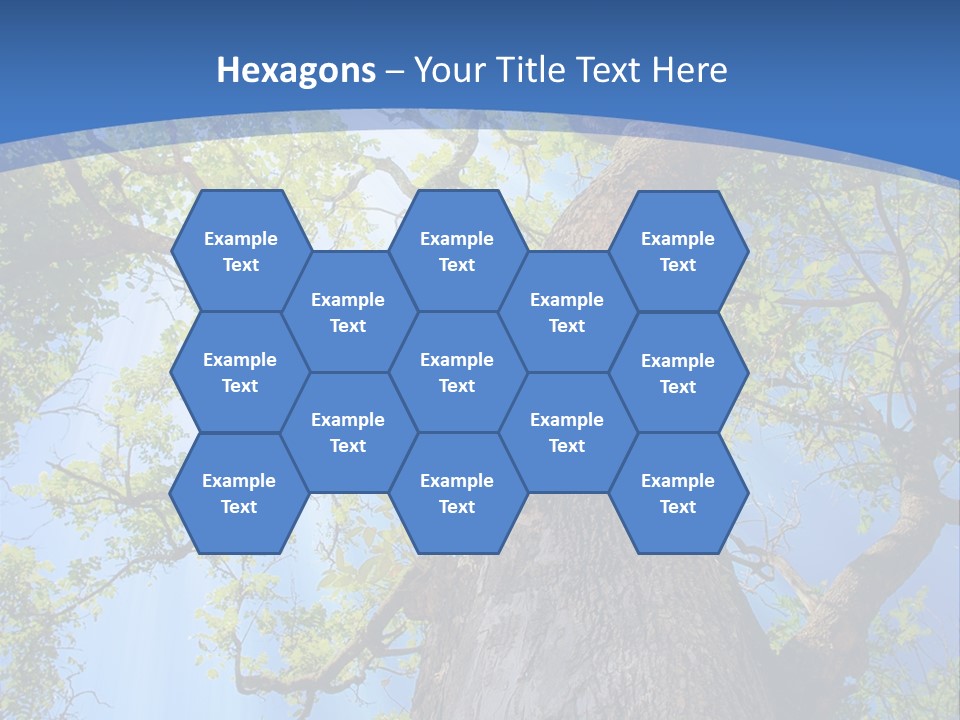 Old Tree PowerPoint Template