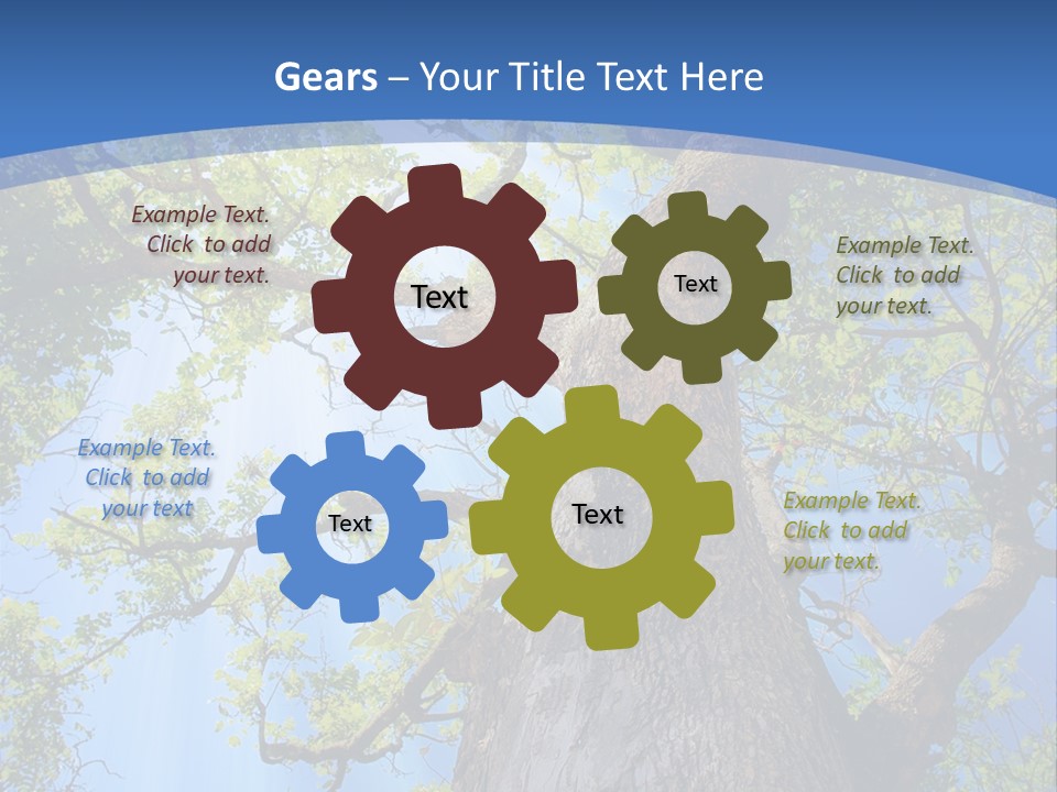 Old Tree PowerPoint Template